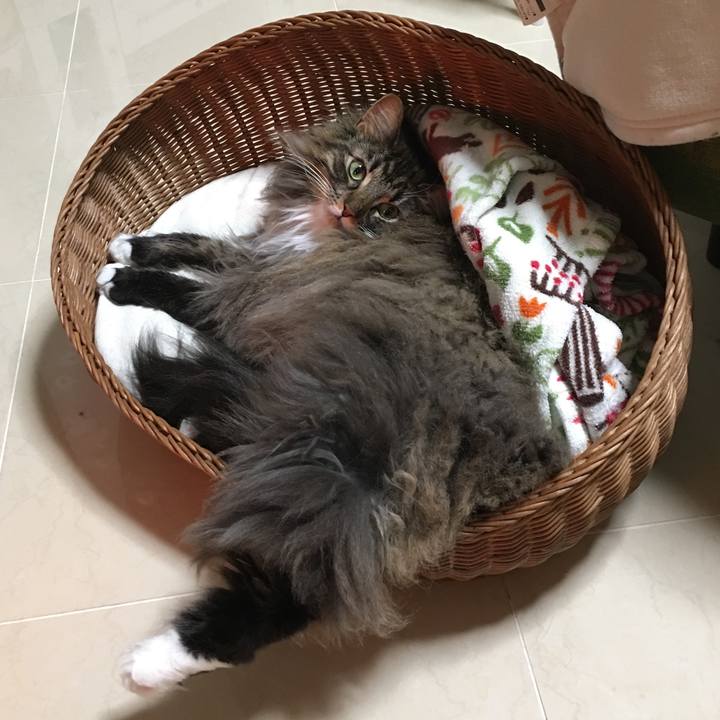 5e566979 aeb7 439e 9313 b18740b2ec96