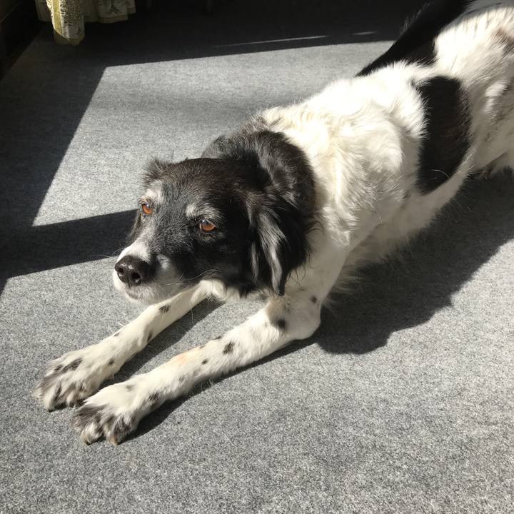 5e56af20 2cf0 46ec b492 c365cdd52353