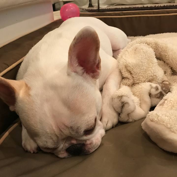 5e5747e4 bd80 4109 9434 d0a083ecde9c