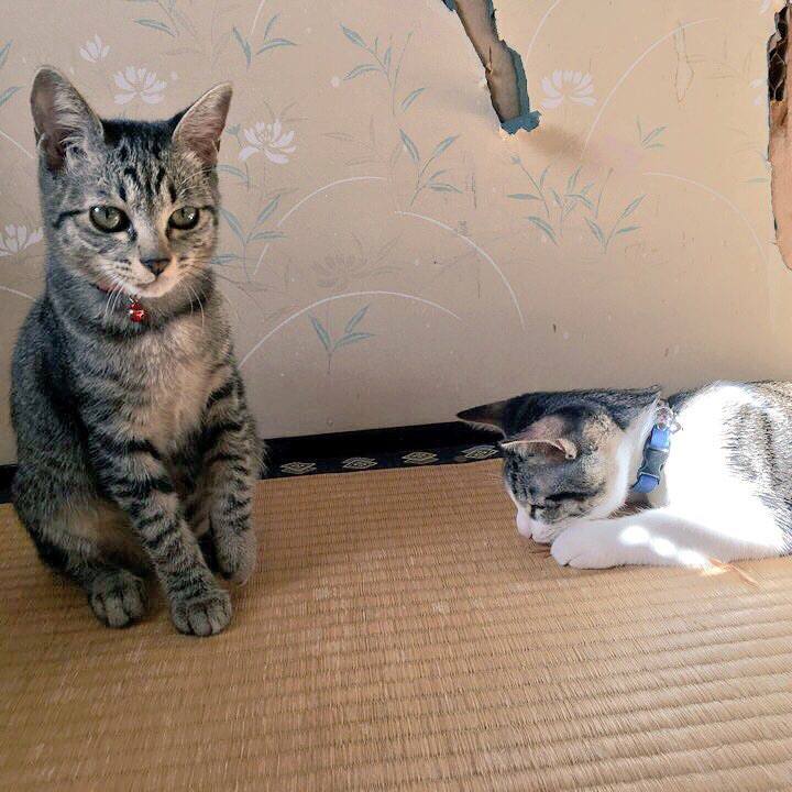 5e57ef25 03b4 4ebf a548 3e039e88fcce