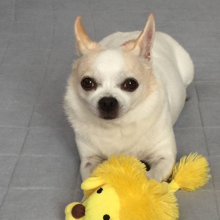 5e57fd2a 066e 4b41 8b06 a0e42e01ba27