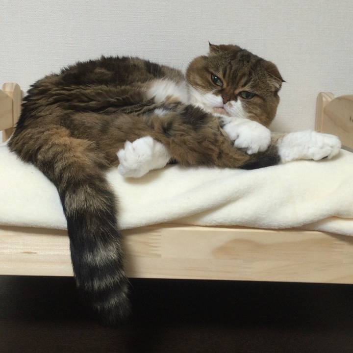 5e594d25 101f 4ca3 a0c6 779dae24cea7