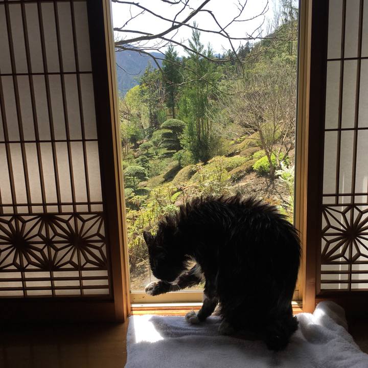 5e59dd0e 31a0 4071 8d78 8b5a74b38ca6