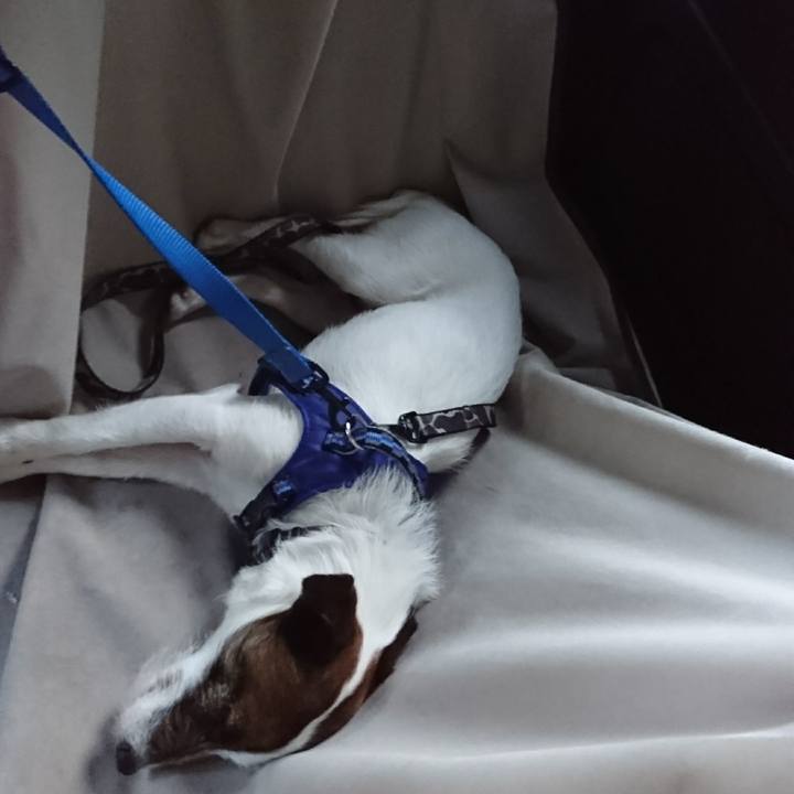 5e5a2e69 587c 47cf 9ec7 b36e1d9bd2c9