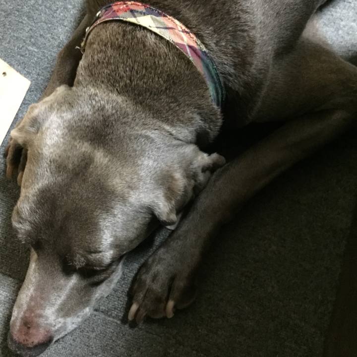 5e5aaca5 a25a 47e1 8dee a1d2d81eded1