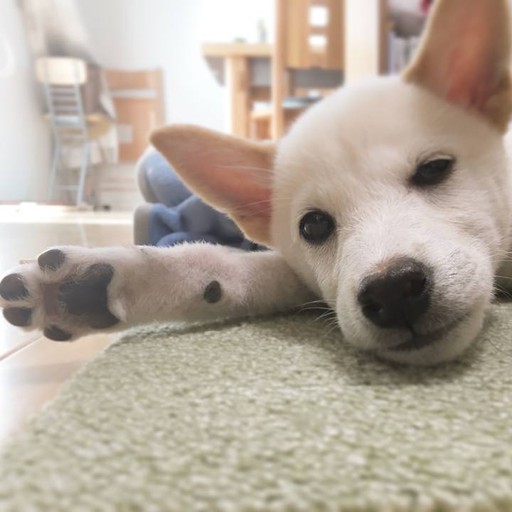 5e5aeb1e a92a 40ff aae2 fb04a3809b79