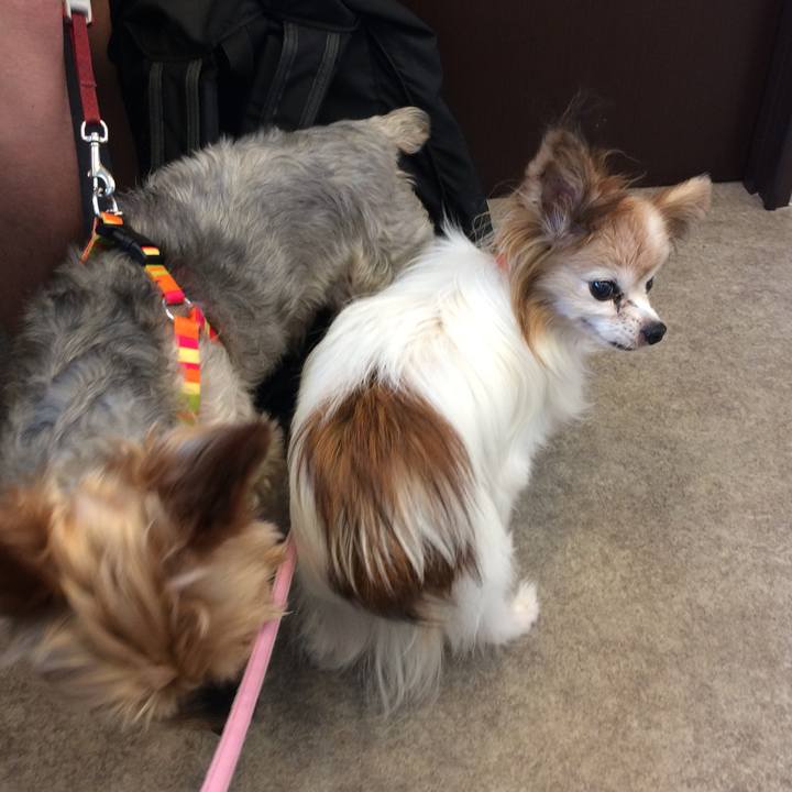 5e5afb01 3bed 4d7d af5a aba2f5f7b4ba