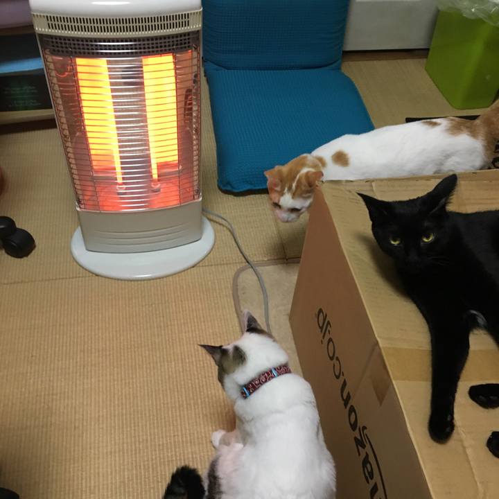 5e5afebd 64a6 4600 b8e4 32c02b5a9b54