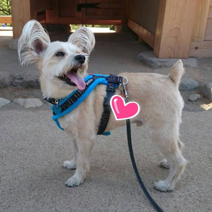 5e5b9991 a3d1 4275 b365 f7accd61877c