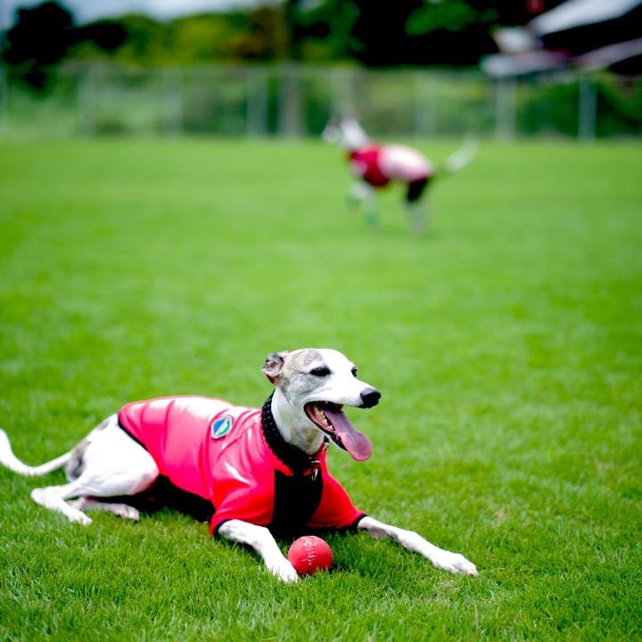 5e5c3508 724b 41ac a768 14399659bf46