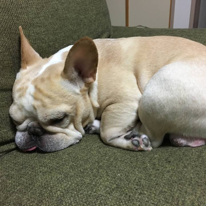 5e5c8df5 78fb 4704 971d 10562f374f3c