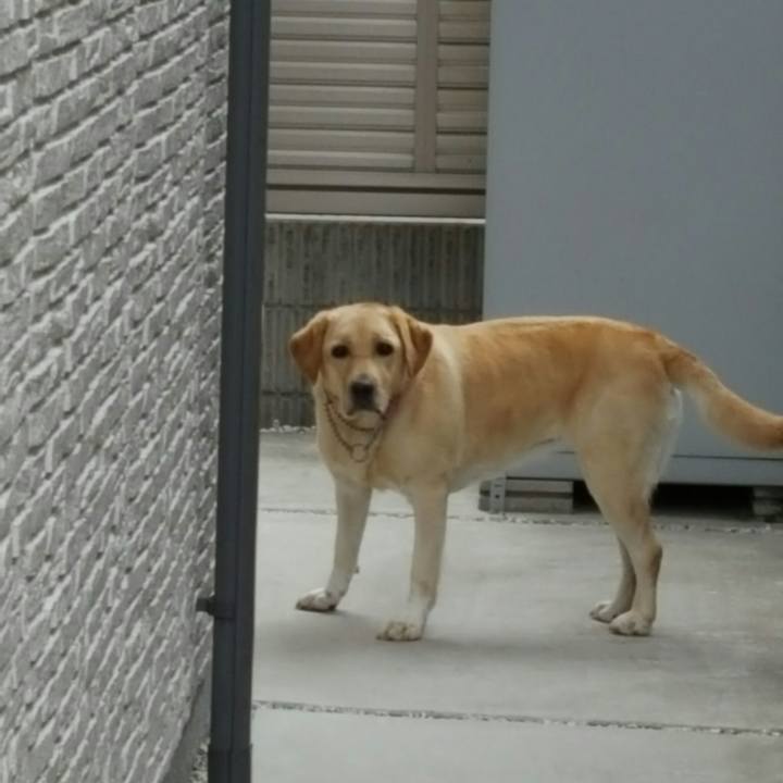 5e5cdf3a 3091 46ad ab26 0b7c401d51a8