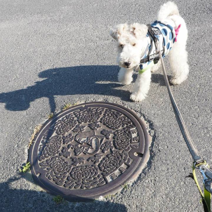 5e5cfece 692d 4584 891b 4f937a354f01