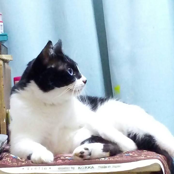 5e5d29dd b3a7 4587 8ef5 b56fc2ba0a11