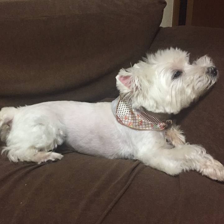 5e5d3fc1 29f4 42d5 9323 f900b429b5ad