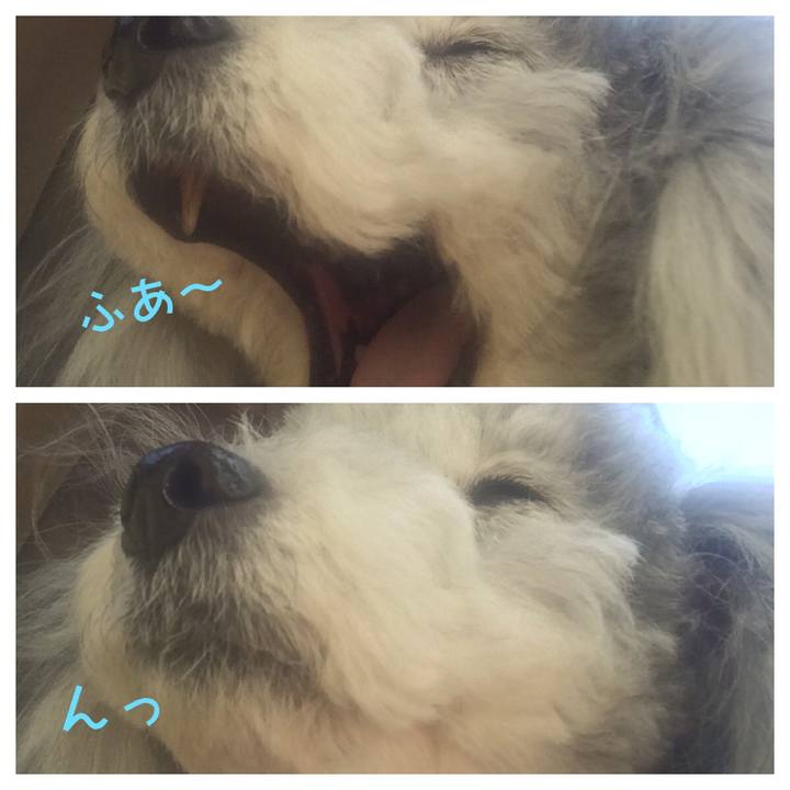 5e5da49f c9f2 43fb 9765 ee5b65e791a1