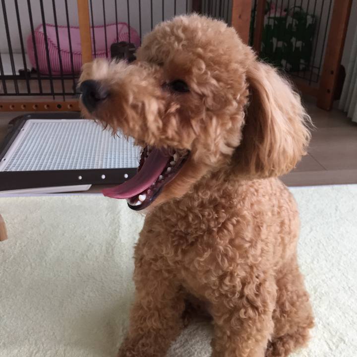 5e5e58f6 f15b 4d99 a92a 7c1005bfab21