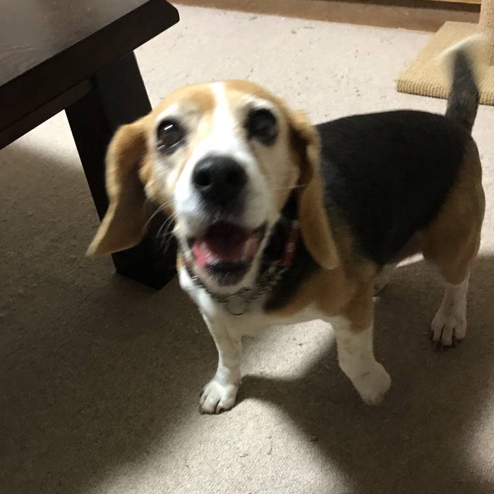 5e5e5c99 02e1 4ab4 a111 7e3929efa8e1