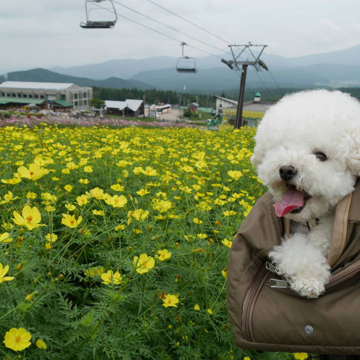 5e5e7cbf ce4b 4685 9c58 f6d7f0f1698e