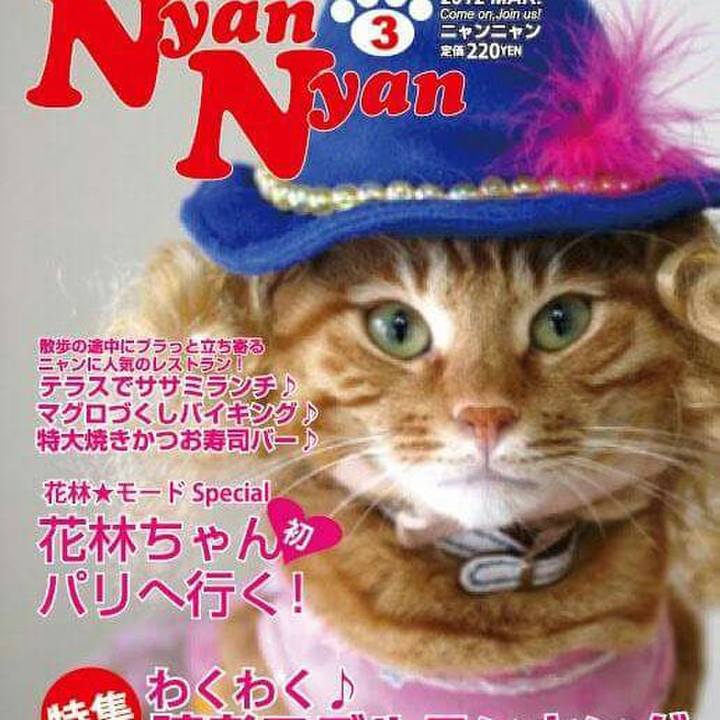 5e5e9529 5b54 4308 ac0f dd772b27a024