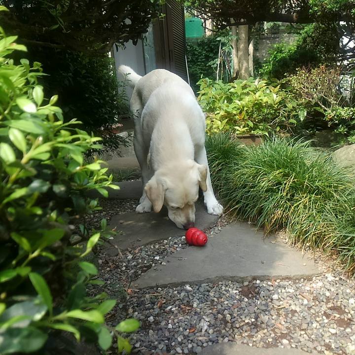 5e5ea047 c0b9 473e 9396 840a53cd1443