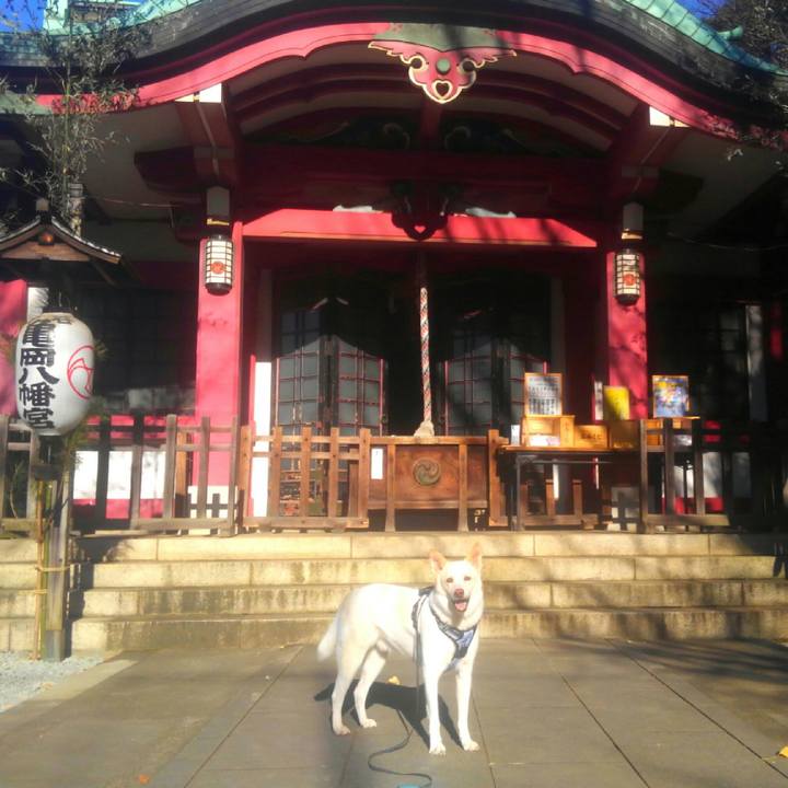 5e5fc565 6a20 496e 9fee 85416a683ab2