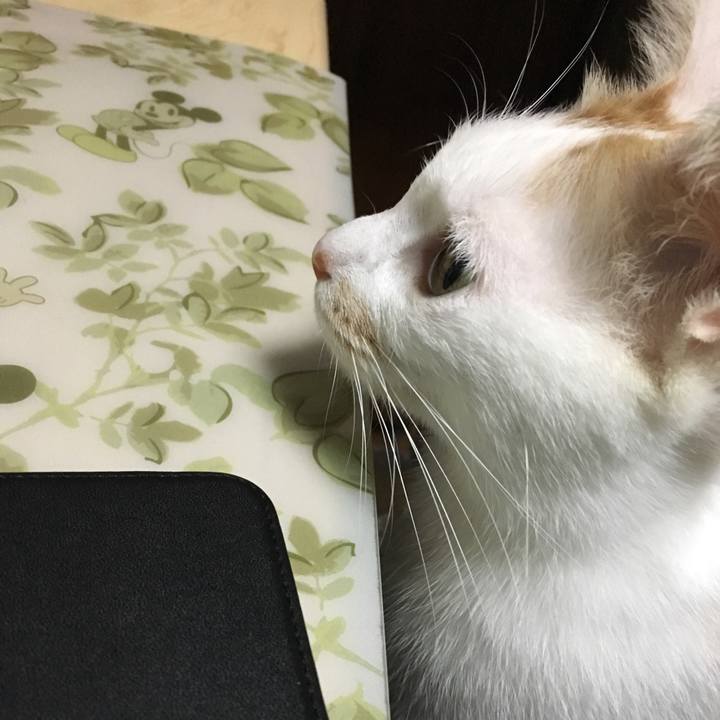 5e601970 a540 43a1 8d9f 2aa97324e329