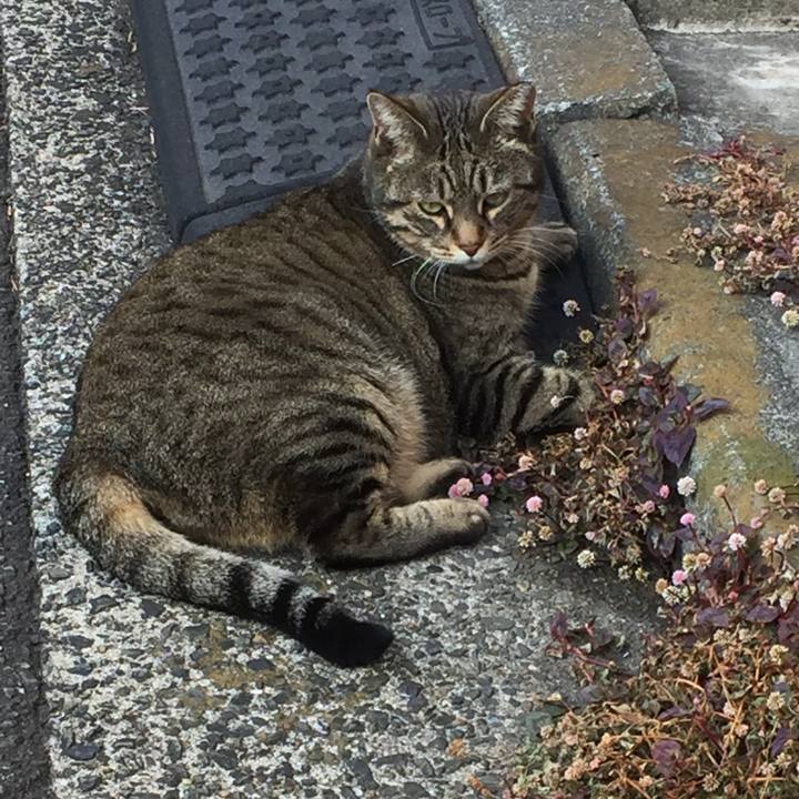 5e605b38 f2cf 47f8 88a0 001b0020d6d8