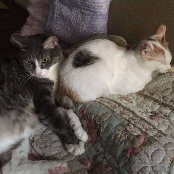 5e60668e 8e94 494f b422 8c90f1a52ed8