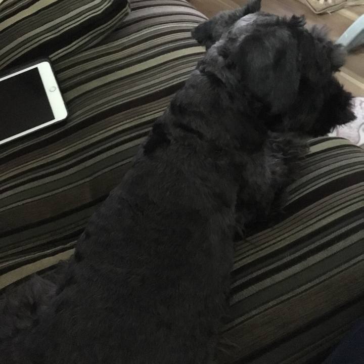 5e60ab06 af29 4253 a9e4 7c86392f65d3