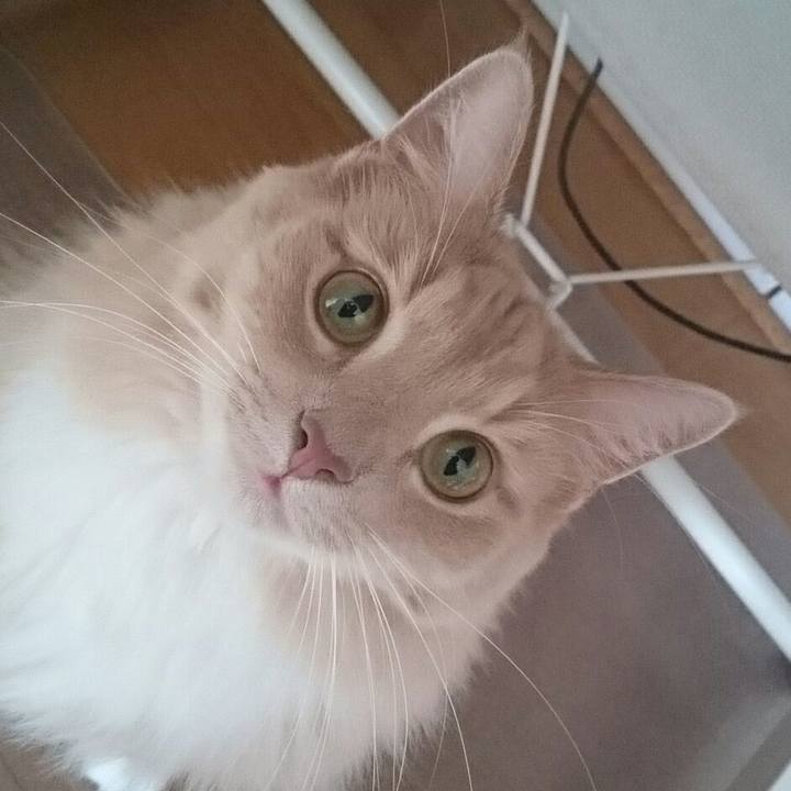 5e616258 5829 4821 a86a 52657573cd53