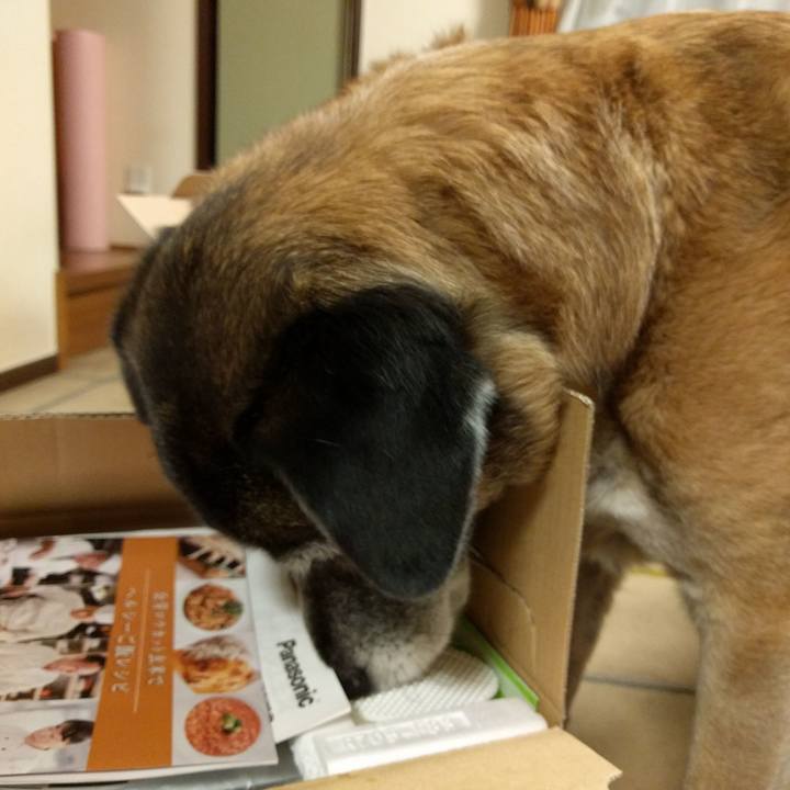 5e619c0b 06ac 481a 8b03 85c38e1e0ae2