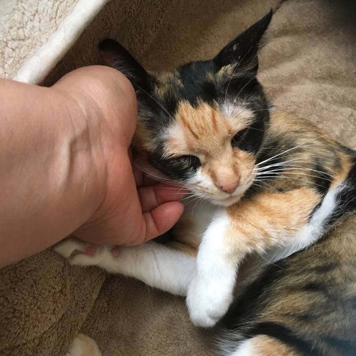 5e621210 f2f3 4567 b79e 20b978380f04