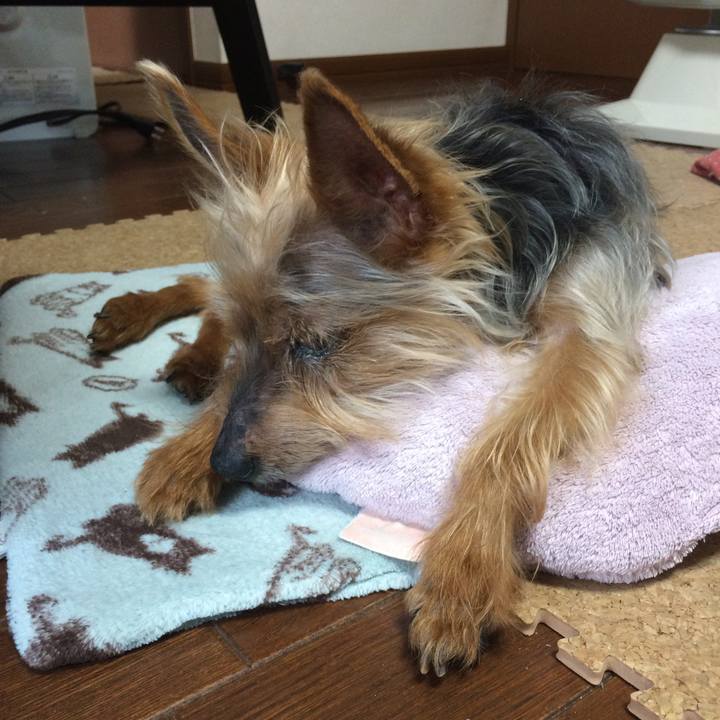 5e624d62 4a81 4207 88ff f7f62602b2a9