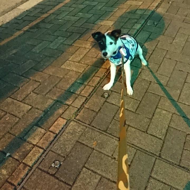 5e625f54 fe95 4b17 9da7 628ddb3af82d