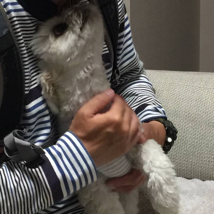 5e627dad e866 4d0d a637 6b7960193f3c