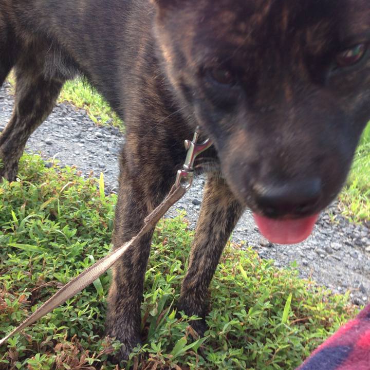 5e62d3ce cdee 454f 877f 86214fecb17c