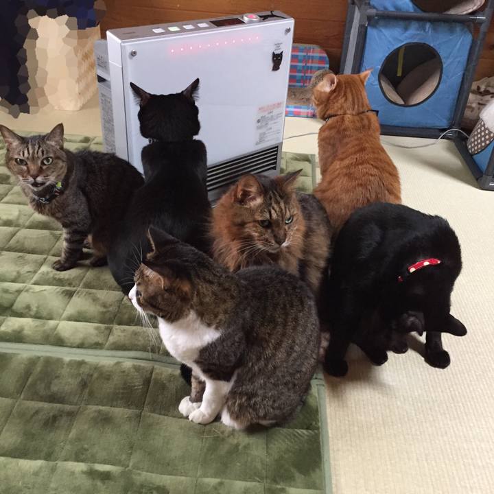 5e62dac0 26b2 471d b518 be79164277ba