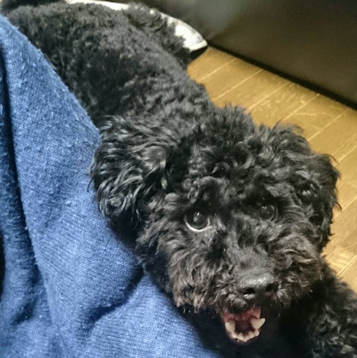 5e632e84 89cb 4de1 81b9 754130aa9a08