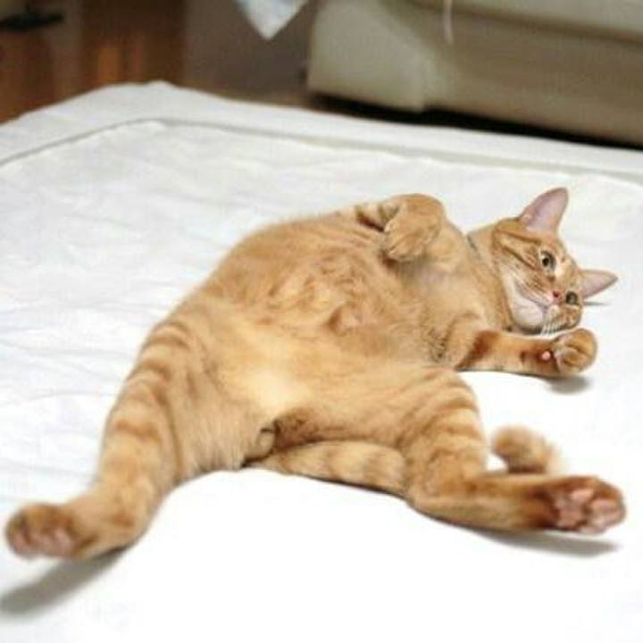 5e633d0f 002a 4d1b a721 118462539fdc