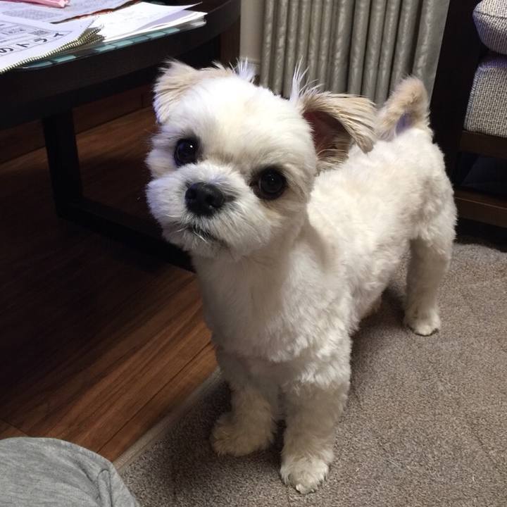 5e63428d 964c 414d 9093 24485b496aad