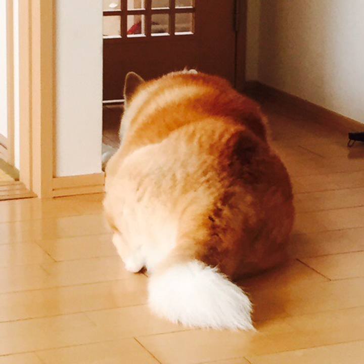 5e6377de 85d7 46ee bf62 3b299f757aef