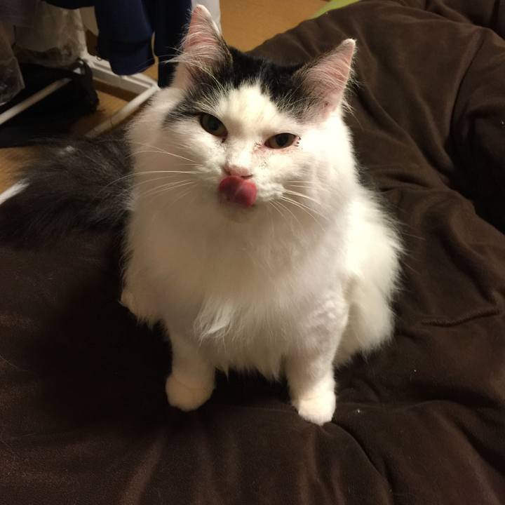 5e650bcd a144 4ba7 89b3 5c77a796a3eb