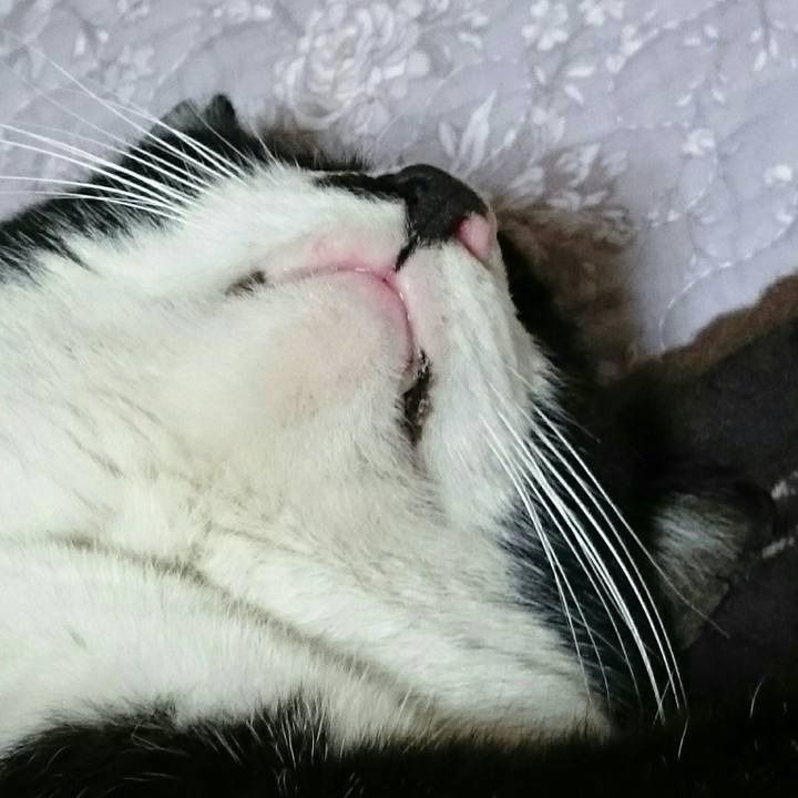 5e651c4f e412 47cf 9cee 26c96b6abf72