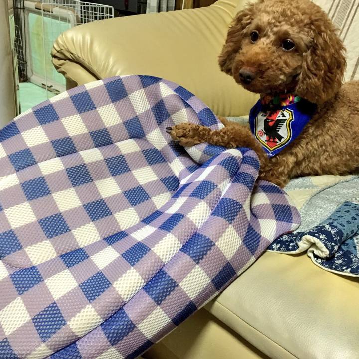 5e65d329 3dce 4ae9 b970 d01c10e5da6e