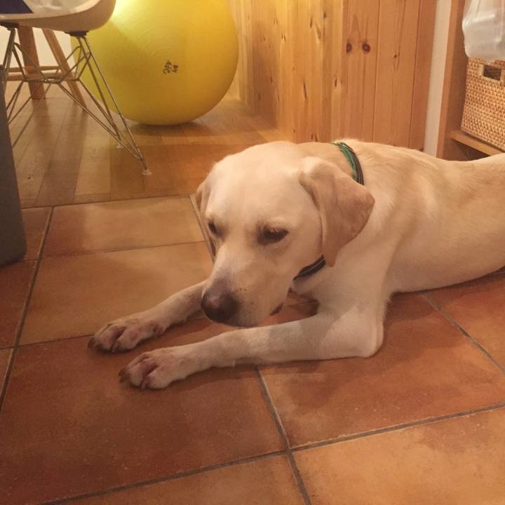 5e660911 1251 4da7 b548 00bfe60c4161