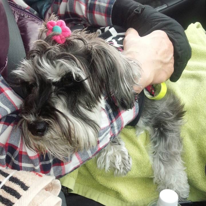 5e664529 c18d 486f 8118 3211678b7ca5