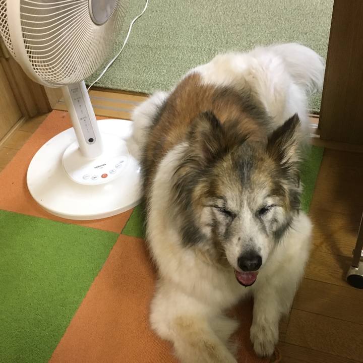 5e669ad3 cadd 4472 ae73 db0c8e53b6e3