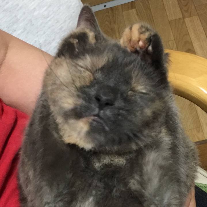 5e673550 0edc 4a34 bf1c c689b9f43718