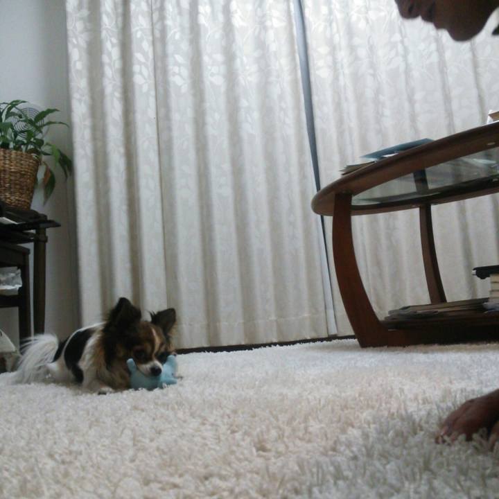 5e67f507 ed2f 4c5c 83a8 85a137de551c